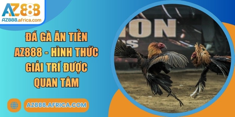 Đá Gà Ăn Tiền AZ888