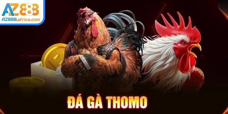 Đá gà Thomo AZ888 có sức hút riêng ở tính minh bạch và nhịp độ thi đấu nhanh