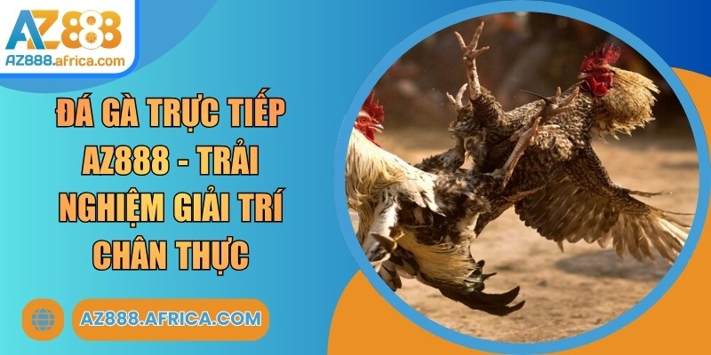 Đá Gà Trực Tiếp AZ888